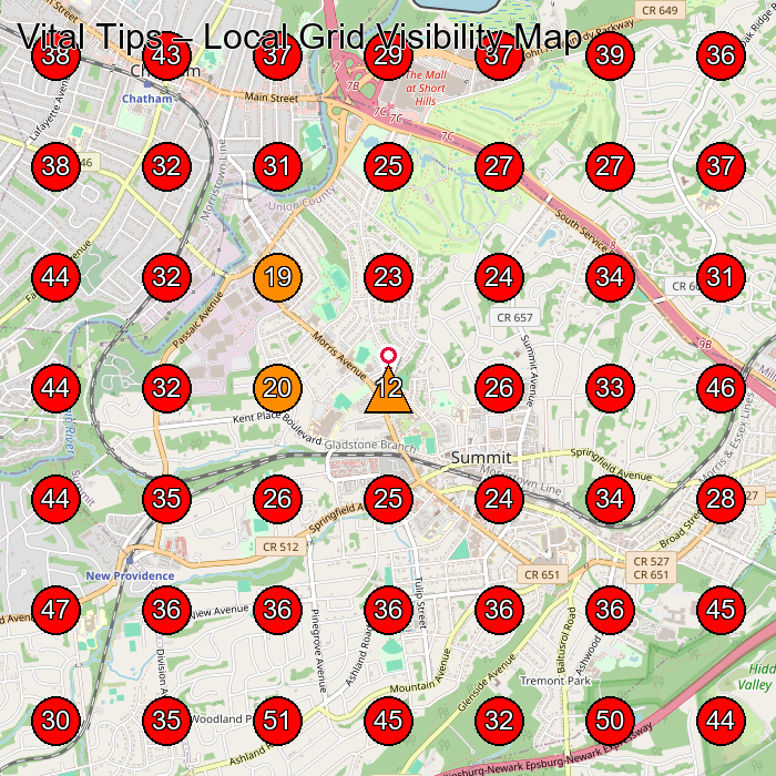 Vital Tips GeoGrid visibility map for Sala³N De Manicura Y Pedicura in Union